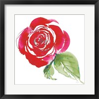 Framed Bold Roses III