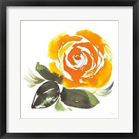 Framed Bold Roses II