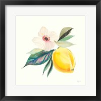 Framed Citrus Summer III