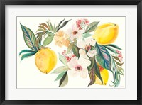 Framed Citrus Summer I