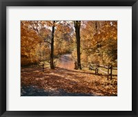 Framed 1960s AUTUMN TRAIL PARK PATH WISCONSIN