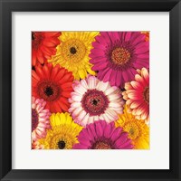 Splash of Color I Framed Print