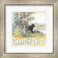 Framed 'Country' border=