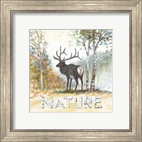 Framed 'Nature' border=