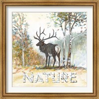 Framed 'Nature' border=