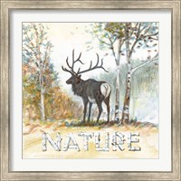 Framed 'Nature' border=