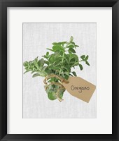 Framed Oregano