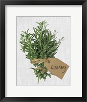 Framed Rosemary