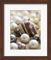 Framed Sea Jewels II