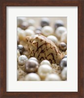 Framed Sea Jewels IV