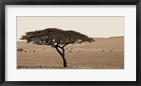 Framed Serengeti Horizons I