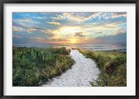 Framed Morning Trail