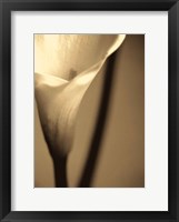 Framed Divinity I