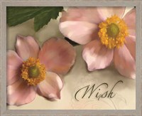 Framed 'Wish' border=