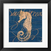 By the Seashore II Framed Print