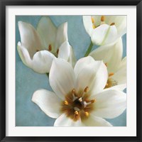 Framed 'Lily Parfait II' border=