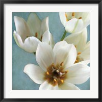 Framed 'Lily Parfait II' border=