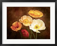 Poppy Perfection II Framed Print