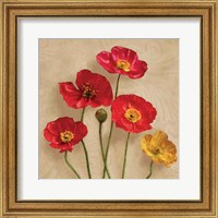 Framed 'Graceful Spring I' border=