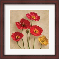 Framed 'Graceful Spring I' border=