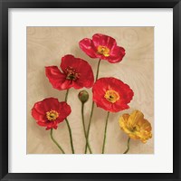 Graceful Spring I Framed Print