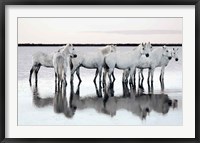 Framed Calm Waters