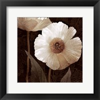 Paisley Poppy II Framed Print