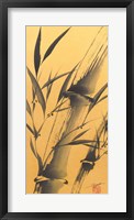 Bamboo's Strength Framed Print