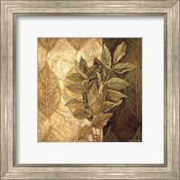 Framed 'Leaf Patterns IV' border=