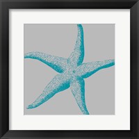 Framed Sea Stars II