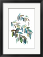 Framed Leaf Collection I