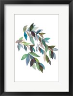 Framed Leaf Collection II