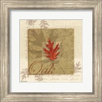 Framed 'Oak' border=