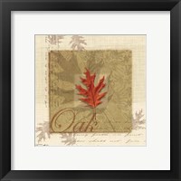 Framed 'Oak' border=