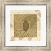 Framed 'Elm' border=