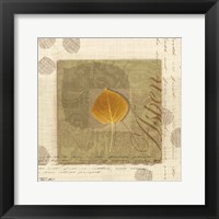 Aspen Framed Print