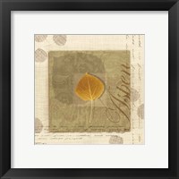 Framed 'Aspen' border=