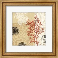 Framed 'Coral Impressions II' border=