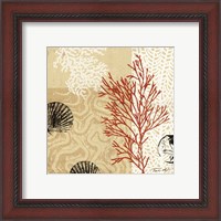 Framed 'Coral Impressions II' border=