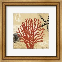 Framed 'Coral Impressions III' border=