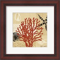 Framed 'Coral Impressions III' border=