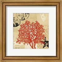 Framed 'Coral Impressions IV' border=