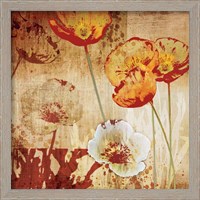 Framed 'Poppy Heat I' border=