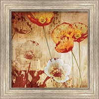 Framed 'Poppy Heat I' border=