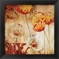 Framed 'Poppy Heat I' border=