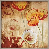 Framed 'Poppy Heat I' border=