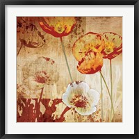 Framed Poppy Heat I