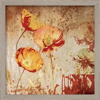 Framed 'Poppy Heat II' border=