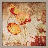 Framed 'Poppy Heat II' border=