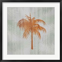 Framed Palm Tree II